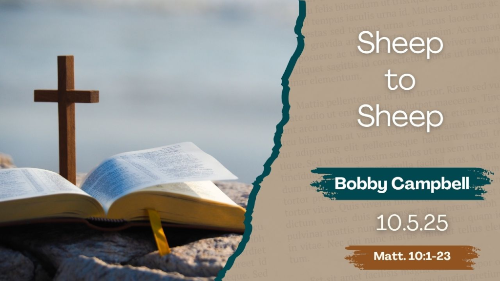“Sheep to Sheep”   Matthew 10:1-23