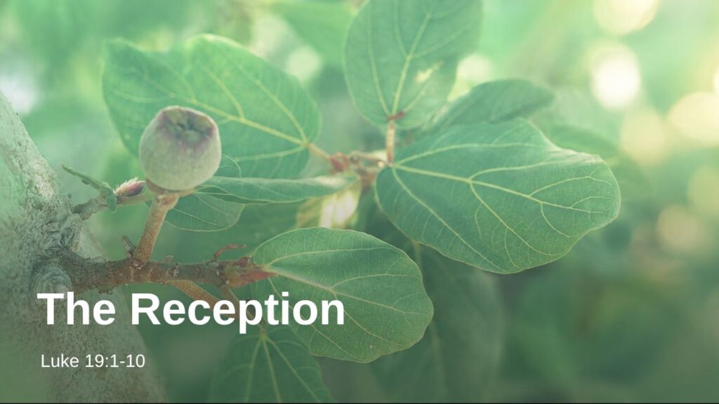 “The Reception”  Luke 19:1-10